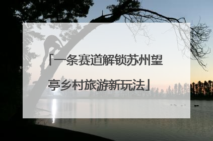 一条赛道解锁苏州望亭乡村旅游新玩法