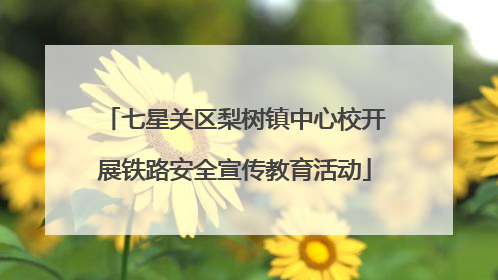 七星关区梨树镇中心校开展铁路安全宣传教育活动