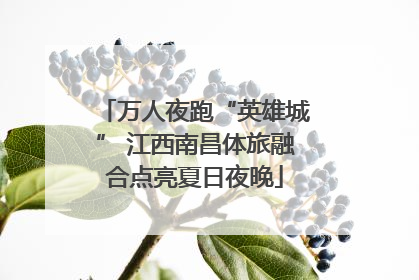 万人夜跑“英雄城” 江西南昌体旅融合点亮夏日夜晚