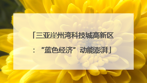 三亚崖州湾科技城高新区：“蓝色经济”动能澎湃