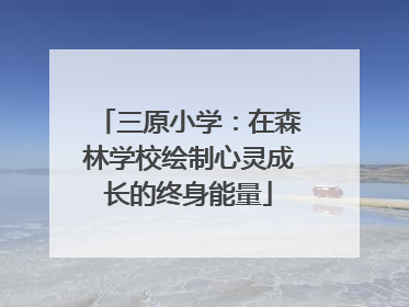 三原小学：在森林学校绘制心灵成长的终身能量