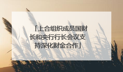 上合组织成员国财长和央行行长会议支持深化财金合作