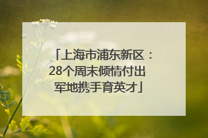 上海市浦东新区：28个周末倾情付出 军地携手育英才