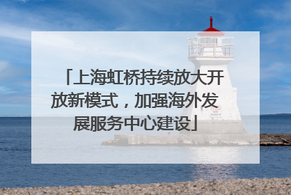 上海虹桥持续放大开放新模式，加强海外发展服务中心建设