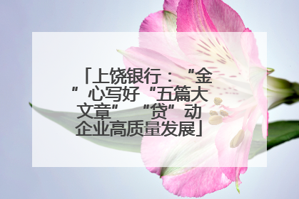 上饶银行：“金”心写好“五篇大文章” “贷”动企业高质量发展