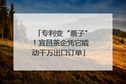 专利变“票子”！宜昌茶企凭它撬动千万出口订单