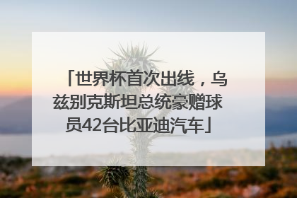 世界杯首次出线，乌兹别克斯坦总统豪赠球员42台比亚迪汽车