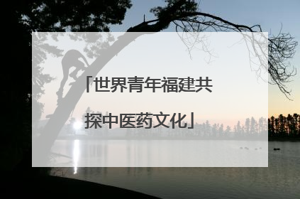 世界青年福建共探中医药文化