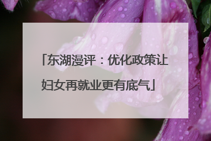 东湖漫评：优化政策让妇女再就业更有底气