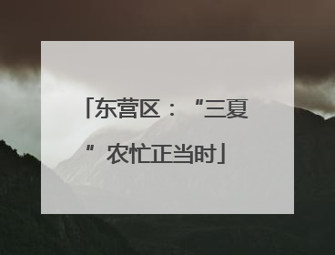 东营区：“三夏”农忙正当时