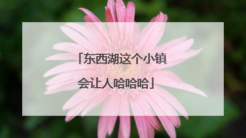 东西湖这个小镇会让人哈哈哈