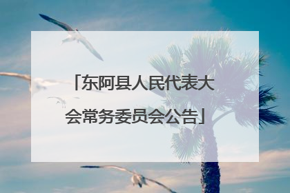 东阿县人民代表大会常务委员会公告