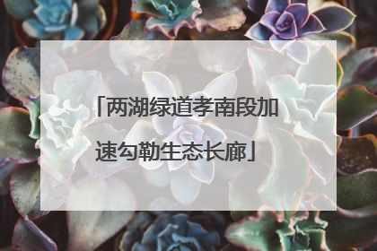 两湖绿道孝南段加速勾勒生态长廊
