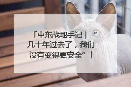 中东战地手记｜“几十年过去了，我们没有变得更安全”