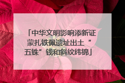 中华文明影响添新证 蒙扎铁佩遗址出土“五铢”钱和斜纹纬锦
