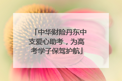 中华财险丹东中支爱心助考，为高考学子保驾护航