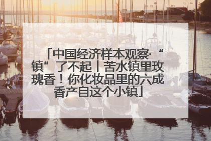 中国经济样本观察·“镇”了不起丨苦水镇里玫瑰香！你化妆品里的六成香产自这个小镇