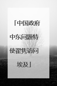 中国政府中东问题特使翟隽访问埃及