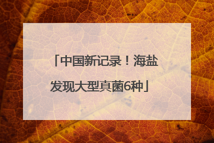 中国新记录！海盐发现大型真菌6种