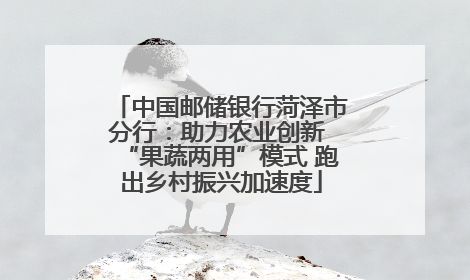 中国邮储银行菏泽市分行：助力农业创新 “果蔬两用”模式 跑出乡村振兴加速度