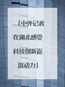 中外记者在湖北感受科技创新澎湃动力