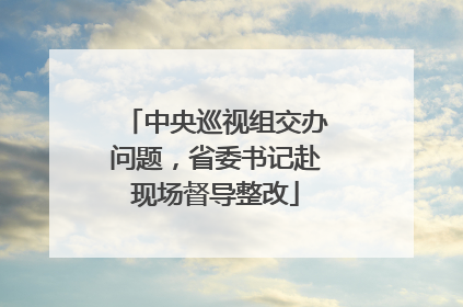 中央巡视组交办问题，省委书记赴现场督导整改