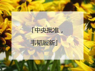 中央批准，韦韬履新