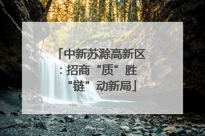 中新苏滁高新区：招商“质”胜 “链”动新局