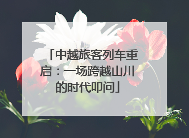 中越旅客列车重启：一场跨越山川的时代叩问
