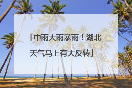中雨大雨暴雨！湖北天气马上有大反转