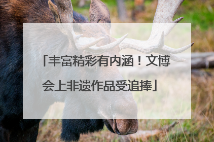 丰富精彩有内涵！文博会上非遗作品受追捧
