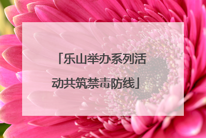 乐山举办系列活动共筑禁毒防线
