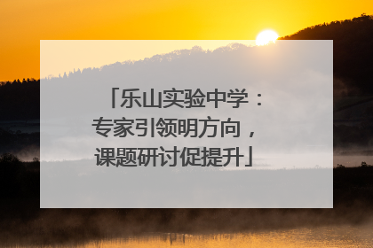 乐山实验中学：专家引领明方向，课题研讨促提升