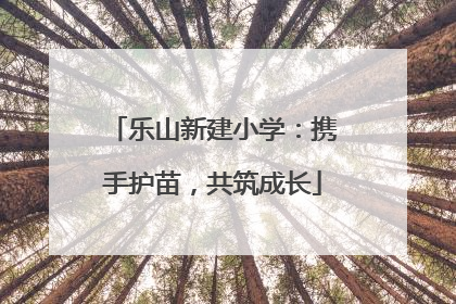 乐山新建小学：携手护苗，共筑成长