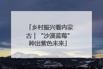 乡村振兴看内蒙古｜“沙漠蓝莓”种出紫色未来