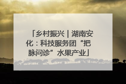 乡村振兴｜湖南安化：科技服务团“把脉问诊”水果产业