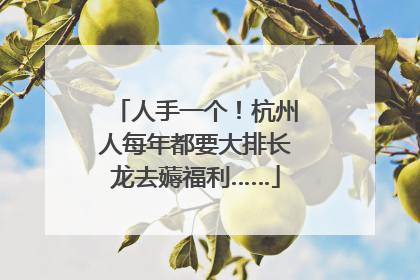 人手一个！杭州人每年都要大排长龙去薅福利……