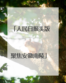 人民日报头版聚焦安徽南陵