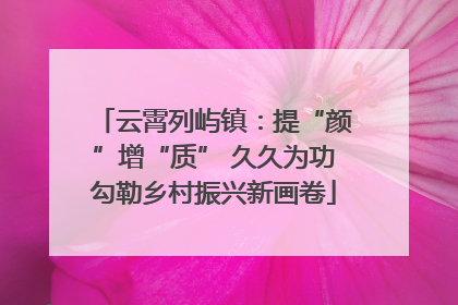 云霄列屿镇：提“颜”增“质” 久久为功勾勒乡村振兴新画卷
