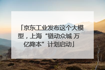 京东工业发布这个大模型，上海“链动众城 万亿降本”计划启动