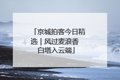 京城拍客今日精选｜风过麦浪香 白塔入云端