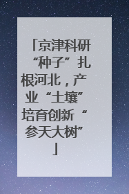 京津科研“种子”扎根河北，产业“土壤”培育创新“参天大树”