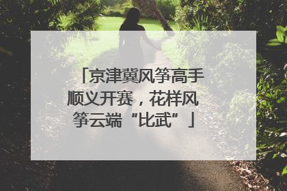京津冀风筝高手顺义开赛，花样风筝云端“比武”