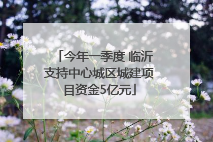 今年一季度 临沂支持中心城区城建项目资金5亿元