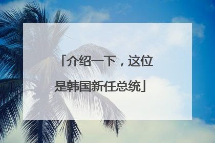 介绍一下，这位是韩国新任总统