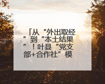 从“外出取经”到“本土结果”！叶县“党支部+合作社”模式绘就乡村振兴新图景