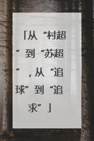 从“村超”到“苏超”，从“追球”到“追求”