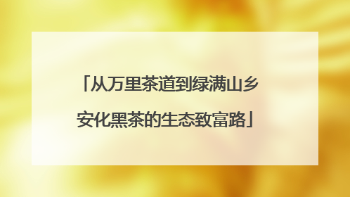 从万里茶道到绿满山乡 安化黑茶的生态致富路