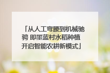 从人工弯腰到机械驰骋 即墨蓝村水稻种植开启智能农耕新模式