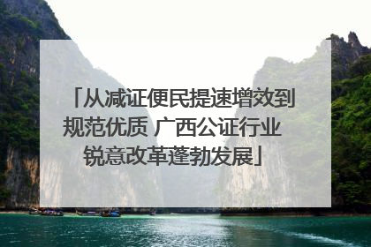 从减证便民提速增效到规范优质 广西公证行业锐意改革蓬勃发展